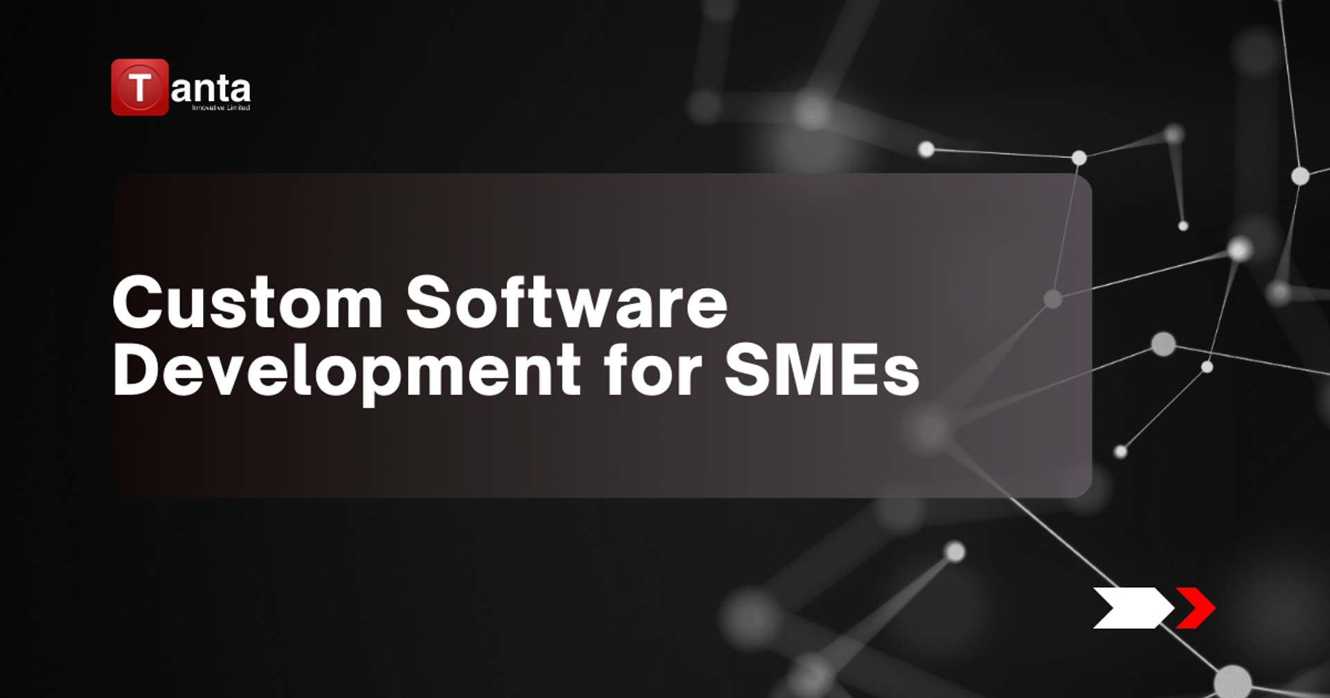 Empowering Nigerian SMEs with Custom Software Development for a Competitive Future